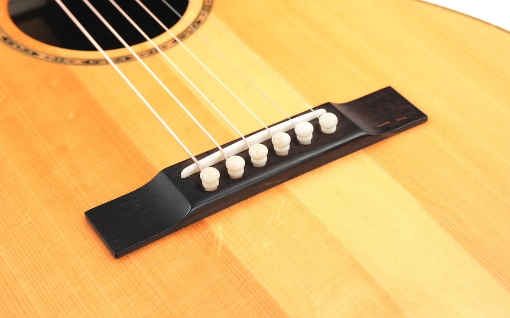 BSG Parlor P 31 F Cocobolo 2012?-10.jpg