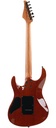 BSG Parlor P 31 F Cocobolo 2012?-8.jpg