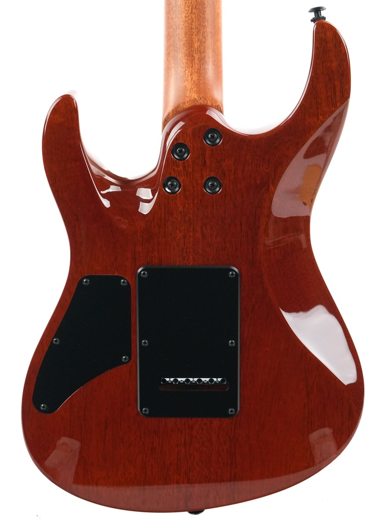 BSG Parlor P 31 F Cocobolo 2012?-7.jpg