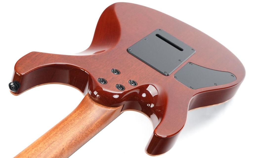 BSG Parlor P 31 F Cocobolo 2012?-10.jpg