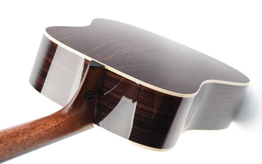 Taylor Gold Label 710e Natural-9.jpg