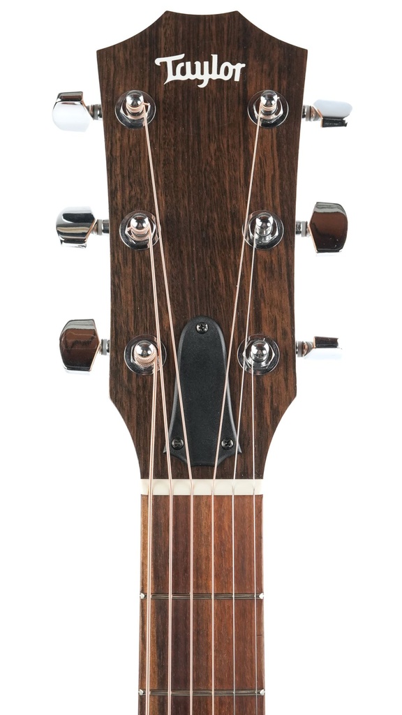 Taylor 114ce 2021-4.jpg