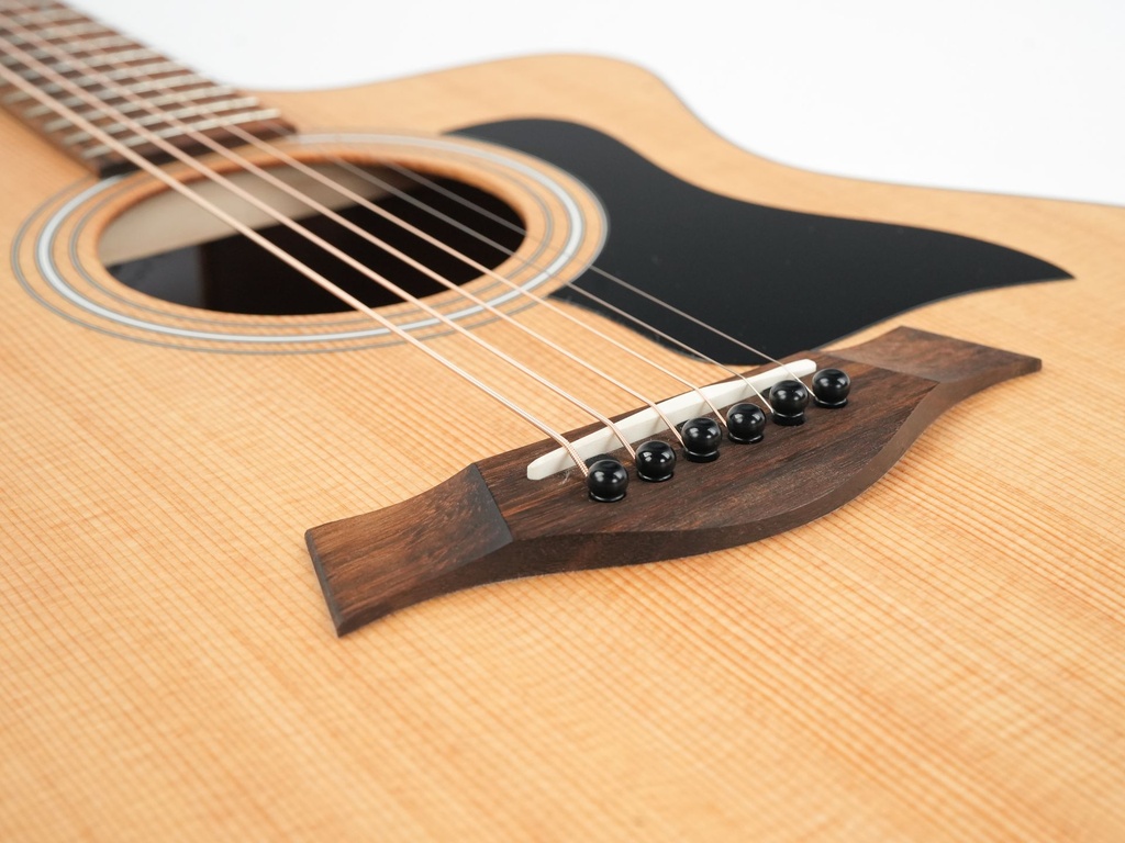 Taylor 114ce 2021-10.jpg