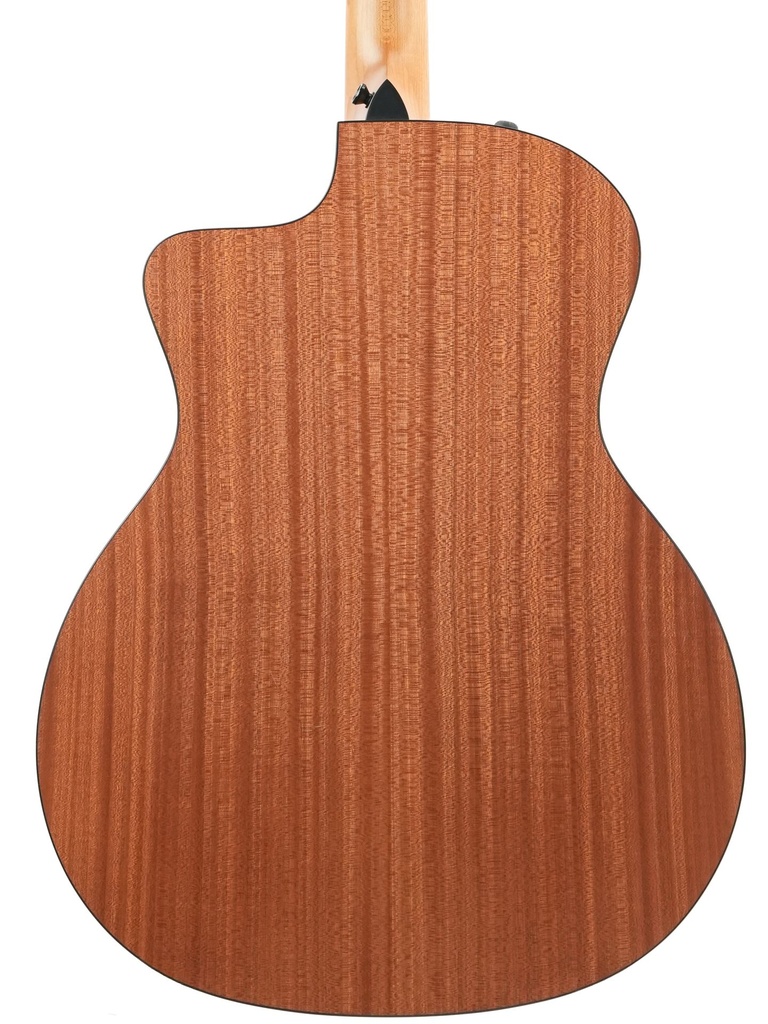 Taylor 114ce 2021-7.jpg