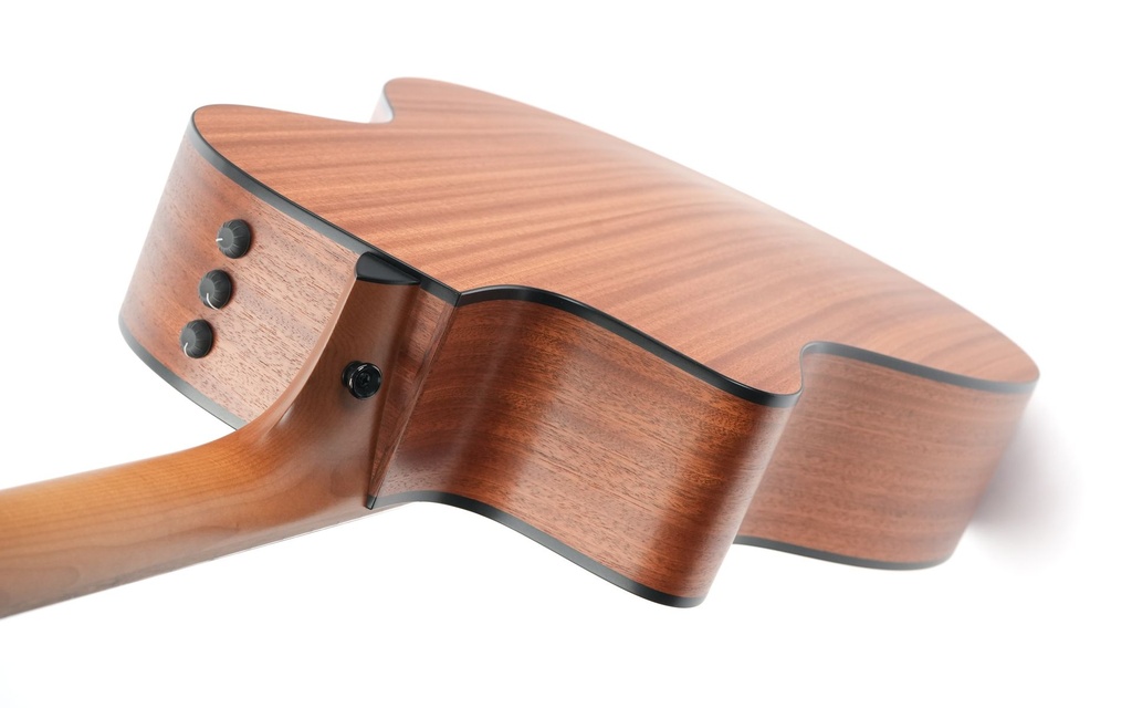 Taylor 114ce 2021-9.jpg