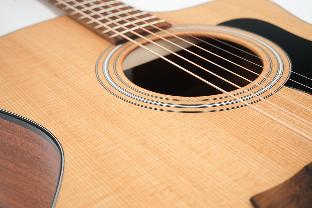 Taylor 114ce 2021-11.jpg