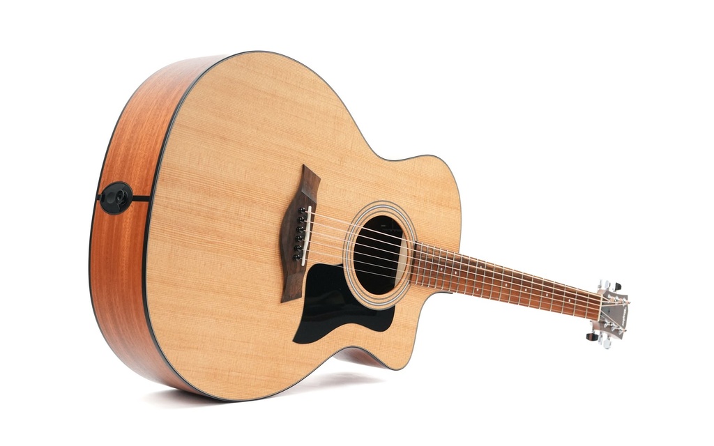 Taylor 114ce 2021-13.jpg