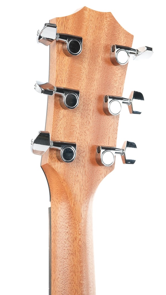 Taylor 214ce LH-5.jpg