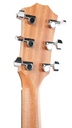Taylor 214ce LH-5.jpg