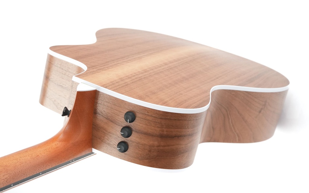 Taylor 214ce LH-9.jpg