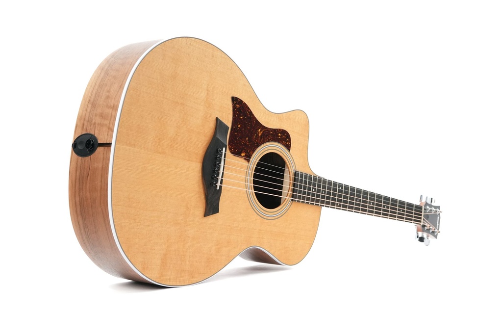 Taylor 214ce LH-12.jpg