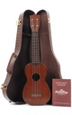 Martin Style 0 Soprano Ukulele Honduran Mahogany 1920.jpg