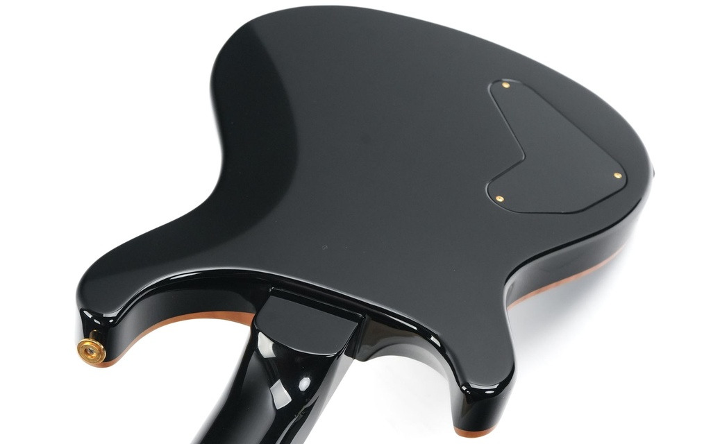 PRS P22 Custom 22 10 Top Gray Black 2013-9.jpg