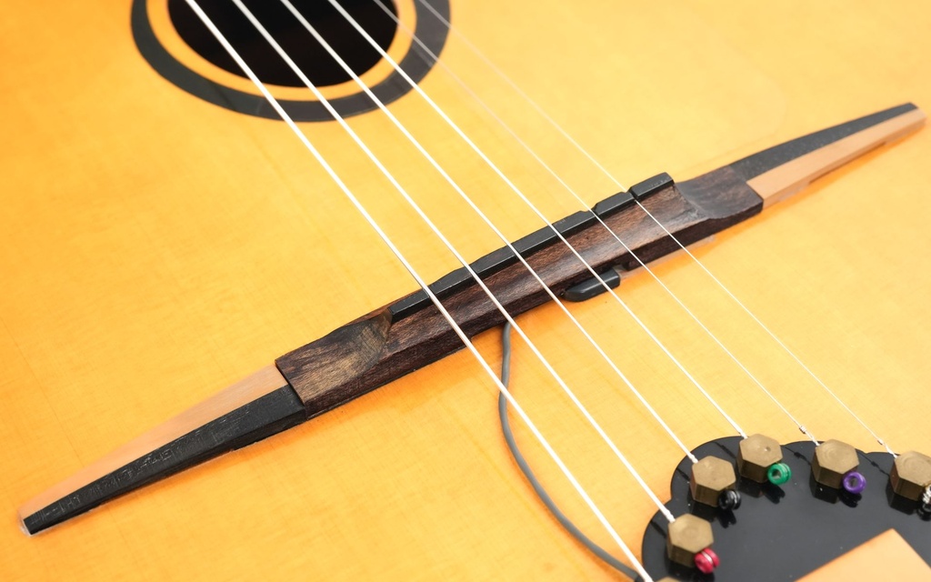 Michael Dunn Picasso Petite Bouche 2005-10.jpg