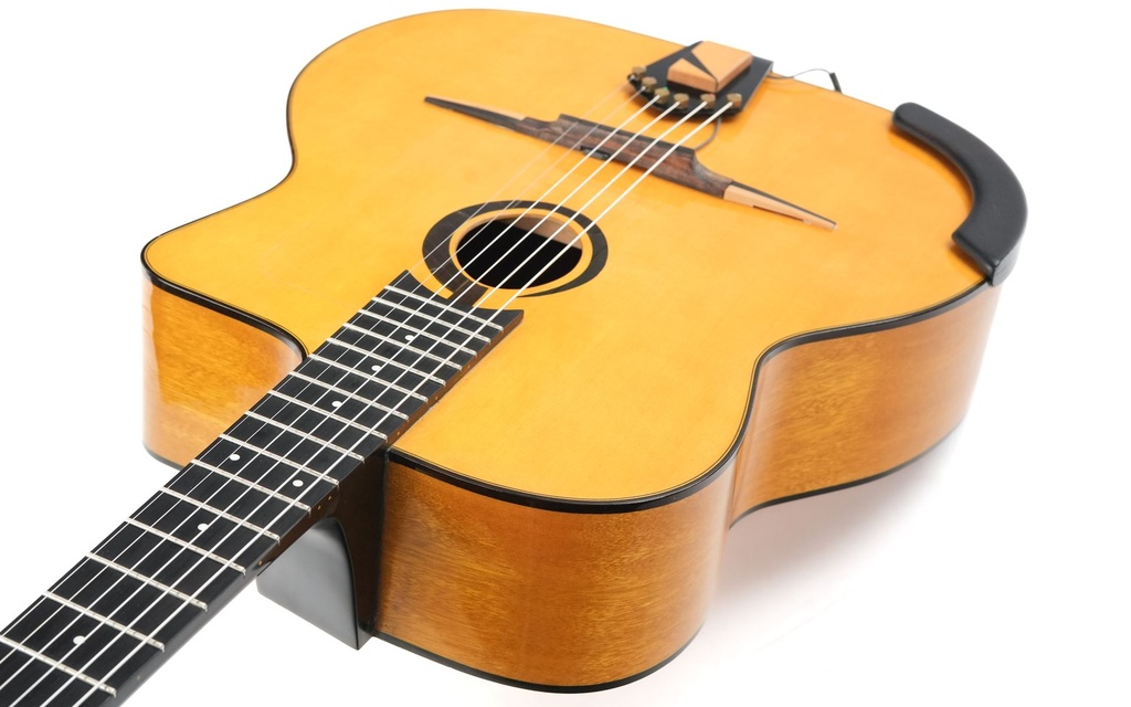 Michael Dunn Picasso Petite Bouche 2005-8.jpg