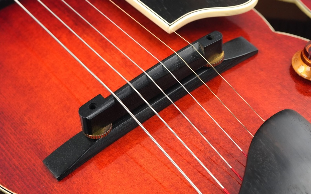 Eastman AR805CE Classic 2020-10.jpg