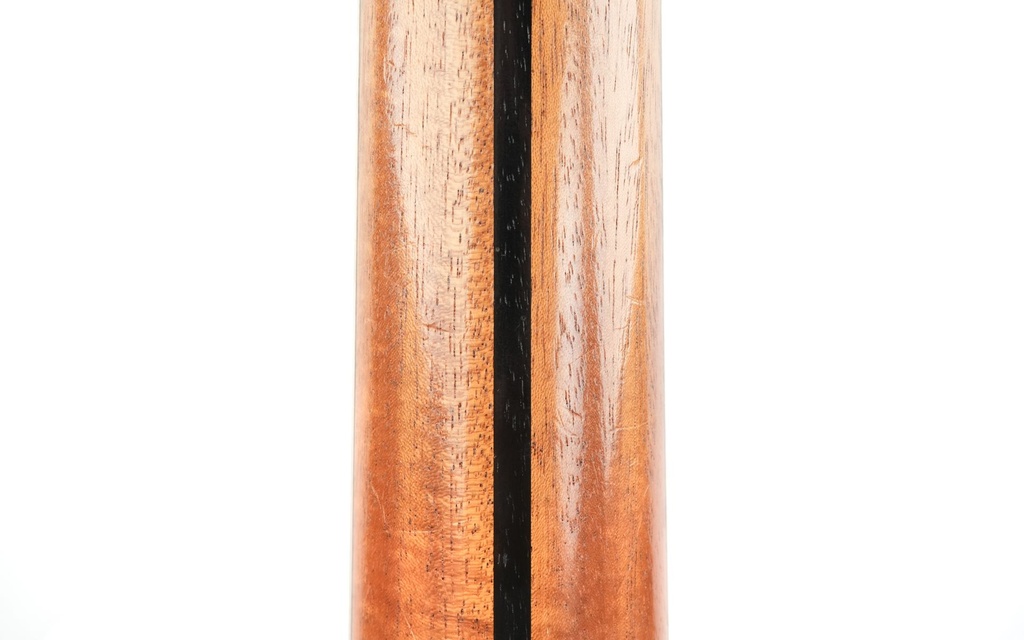 Dowina Master Series GAC-E Wenge Spruce Anthem 2016-9.jpg