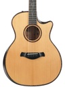 Taylor K14ce Builder's Edition 2022-3.jpg