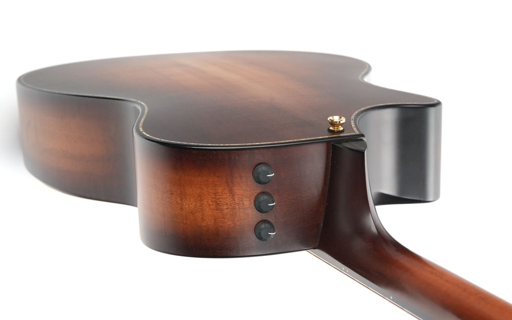 Taylor K14ce Builder's Edition 2022-9.jpg