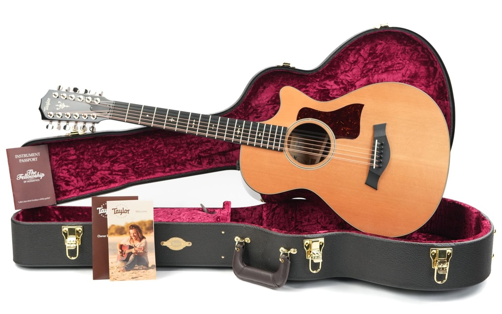 Taylor 552ce 12 String 2020.jpg