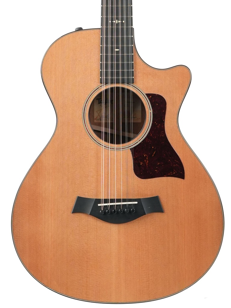 Taylor 552ce 12 String 2020-3.jpg