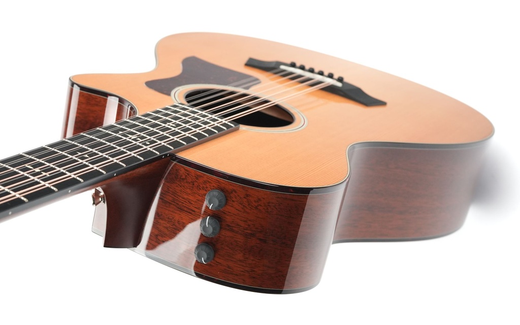 Taylor 552ce 12 String 2020-8.jpg