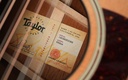 Taylor 552ce 12 String 2020-11.jpg