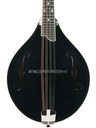 Eastman MD505 Black Top Limited A Style Mandolin B-stock-3.jpg