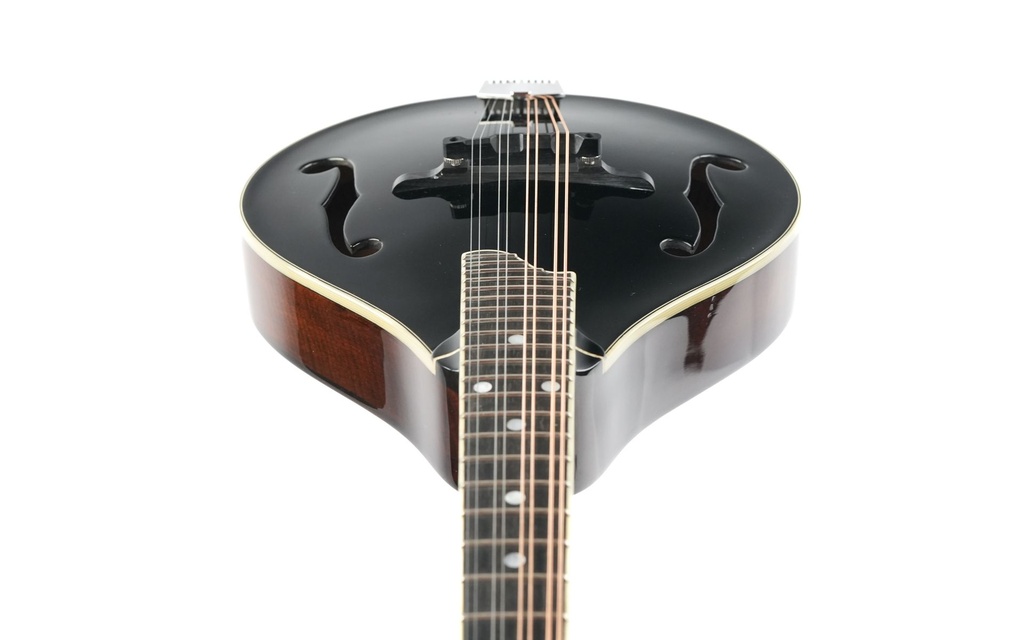 Eastman MD505 Black Top Limited A Style Mandolin B-stock-13.jpg