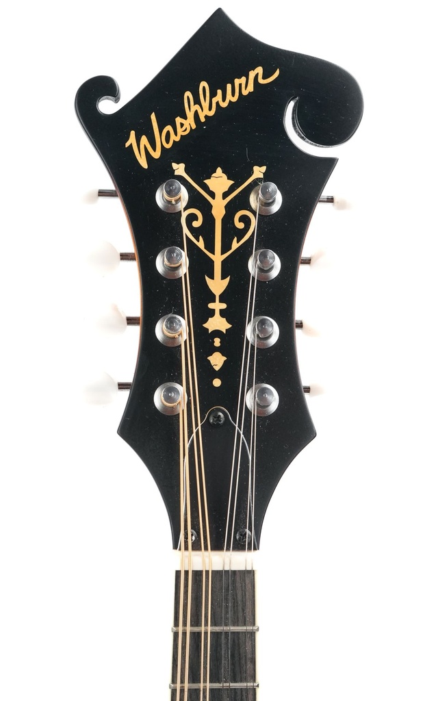 Washburn M3EK-A 2022-4.jpg
