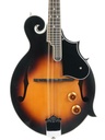 Washburn M3EK-A 2022-3.jpg