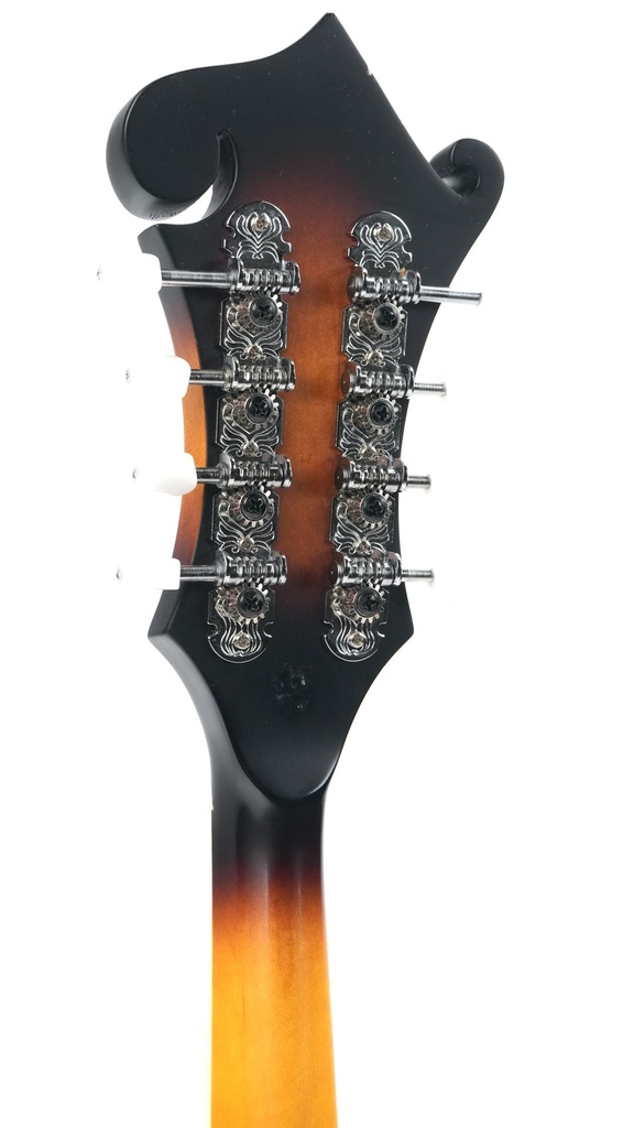 Washburn M3EK-A 2022-5.jpg