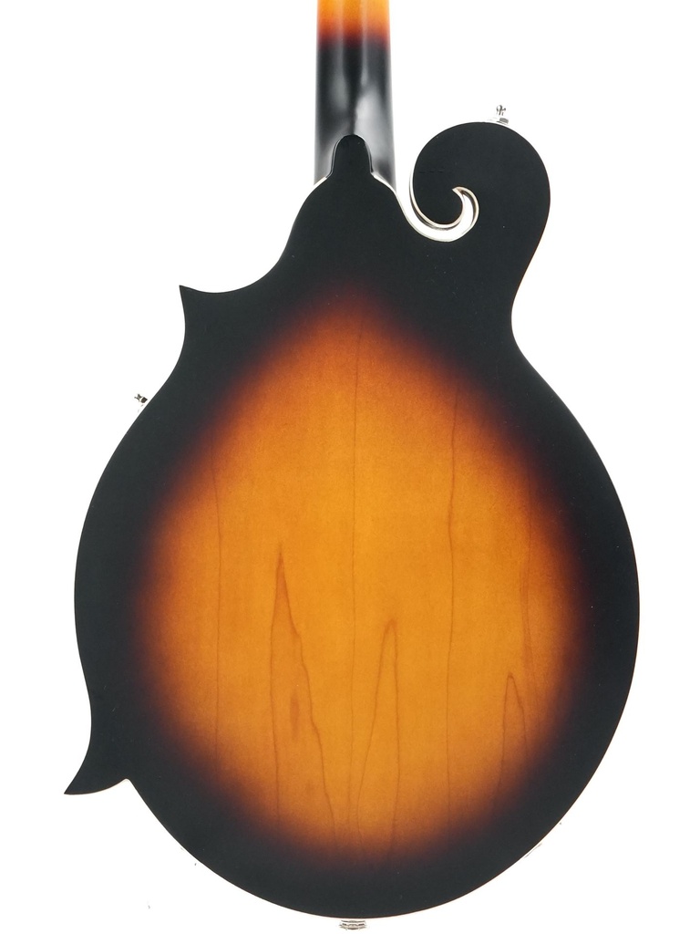 Washburn M3EK-A 2022-7.jpg