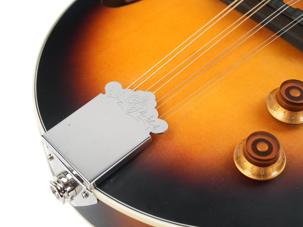 Washburn M3EK-A 2022-13.jpg