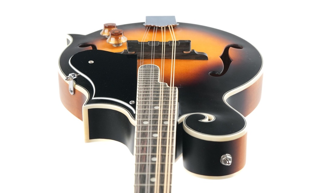 Washburn M3EK-A 2022-14.jpg