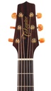 Takamine P3MC 2023-4.jpg