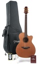 Takamine P3MC 2023-1.jpg