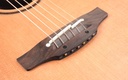 Takamine P3MC 2023-10.jpg