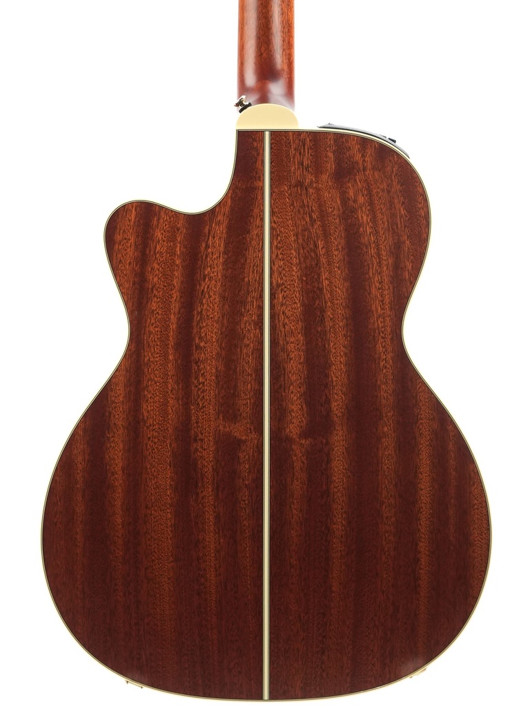 Takamine P3MC 2023-6.jpg