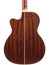 Takamine P3MC 2023-6.jpg