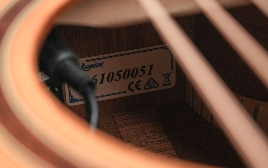 Takamine P3MC 2023-12.jpg