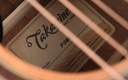 Takamine P3MC 2023-11.jpg