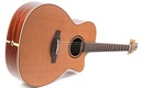 Takamine P3MC 2023-13.jpg