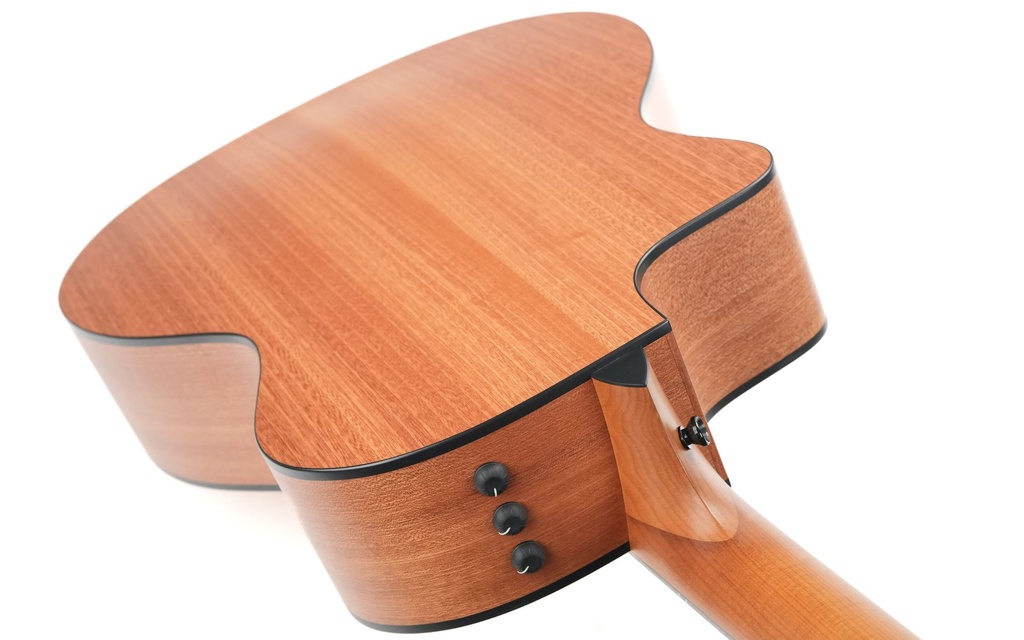 Taylor 114ce Sapele-9.jpg