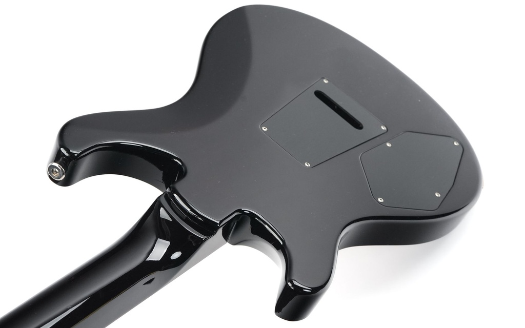 PRS 509 Black Gold Burst 2022-9.jpg