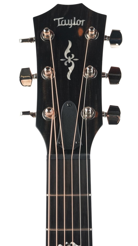 Taylor 424ce Walnut Special Edition 2023-4.jpg