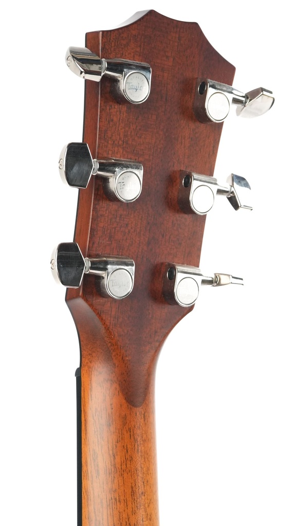 Taylor 424ce Walnut Special Edition 2023-5.jpg