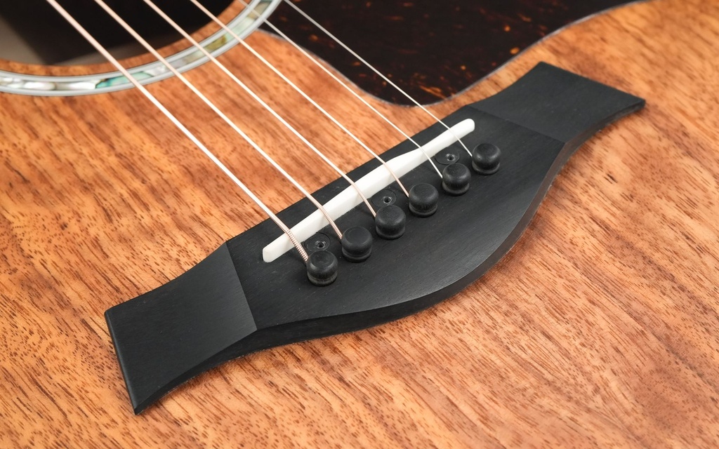 Taylor 424ce Walnut Special Edition 2023-10.jpg