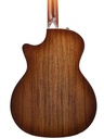Taylor 424ce Walnut Special Edition 2023-6.jpg