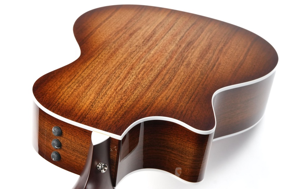 Taylor 424ce Walnut Special Edition 2023-9.jpg